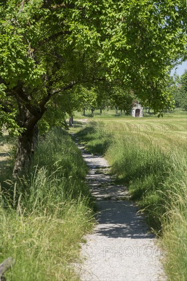 Meadow path in the Franconian Open Air Museum