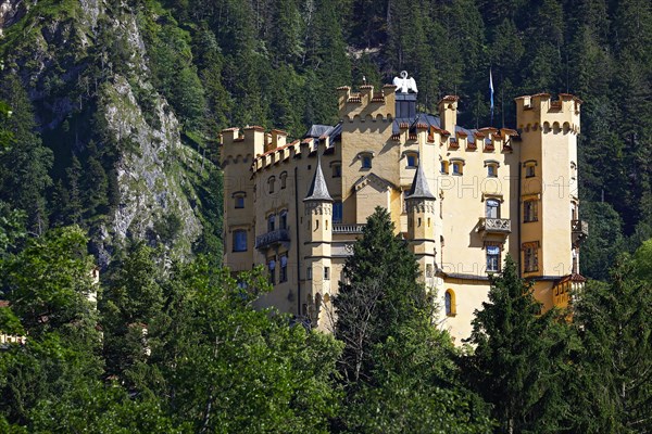 Hohenschwangau Castle