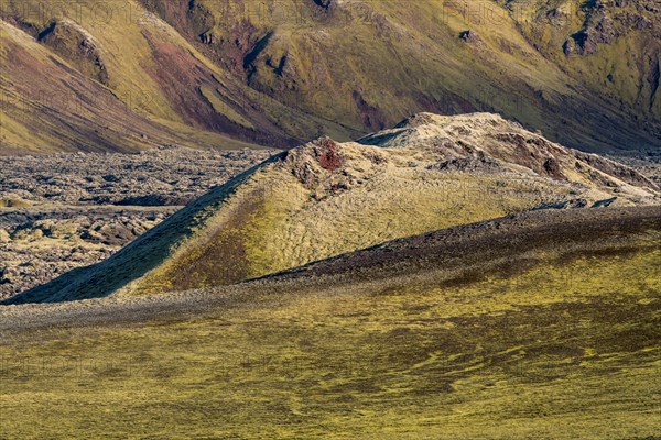 Moss-covered Laki crater or Lakagigar