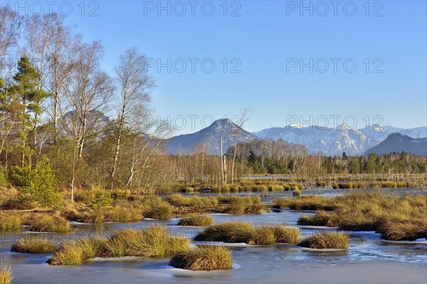 Water surface iced over