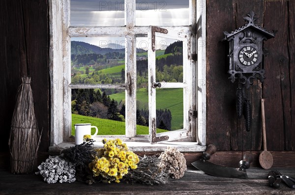 View from the farmer's kitchen with herb bouquets into the landscape