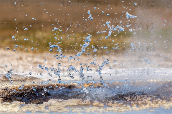 Spouting water