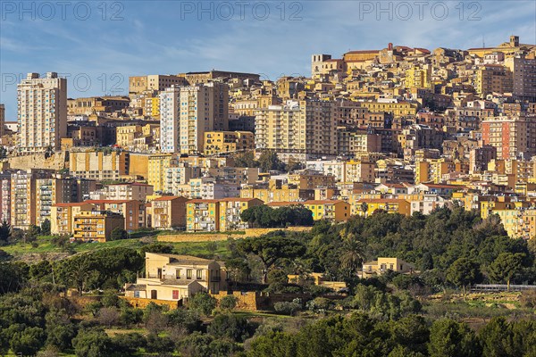 City view