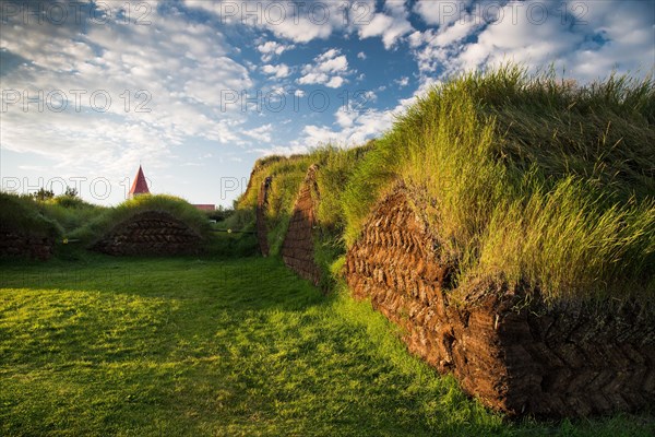 Grass sod houses