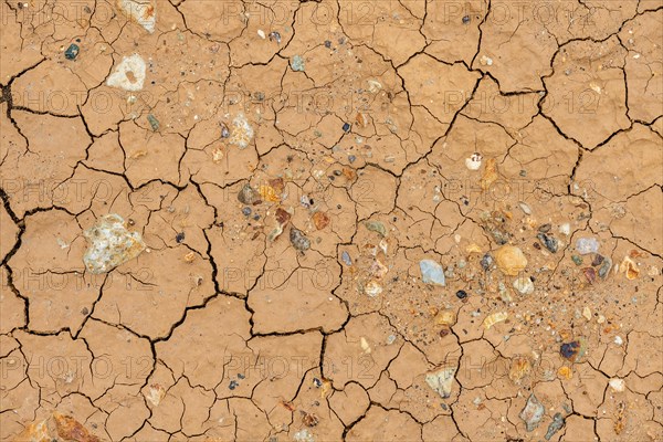 Cracks in the clay soil and coloured rhyolite rock