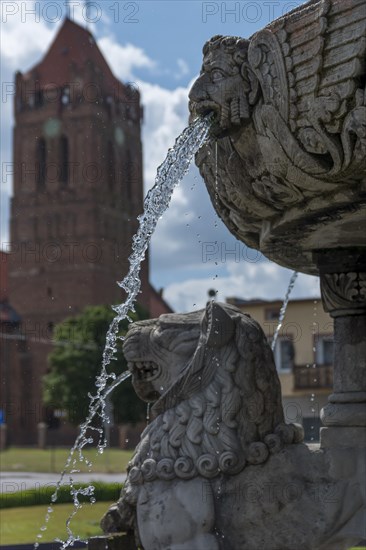 Roland Fountain