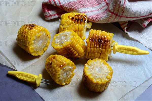 Roasted corn on the corn cob with corn on the cob holder