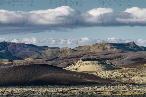 Moss-covered Laki crater or Lakagigar