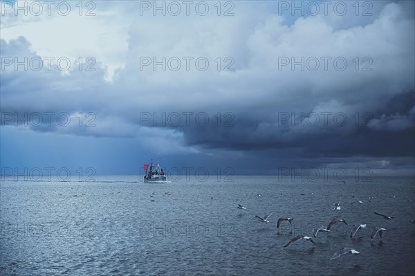 Thunderstorm Storm