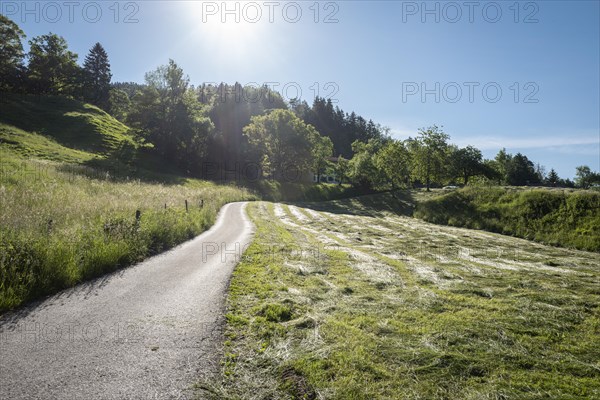 Mown meadow