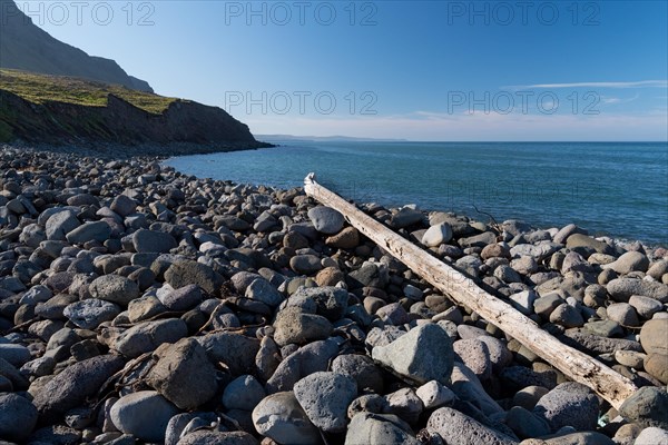 Stones and driftwood log