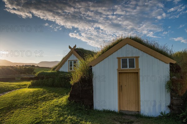 Grass sod houses