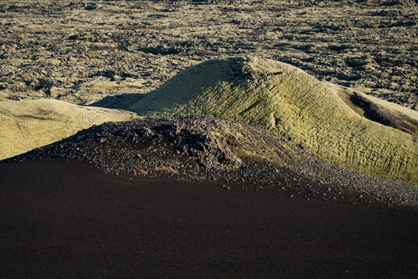 Moss-covered Laki crater or Lakagigar