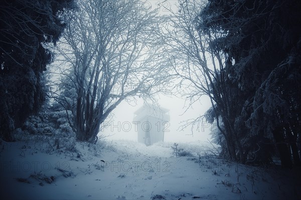 Tower in the forest in the fog in winter on Grosser Finsterberg