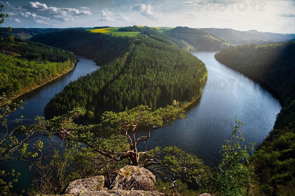 Water body and coniferous forest near Teufelskanzel