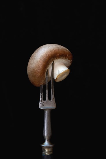 Brown cultivated mushroom on fork