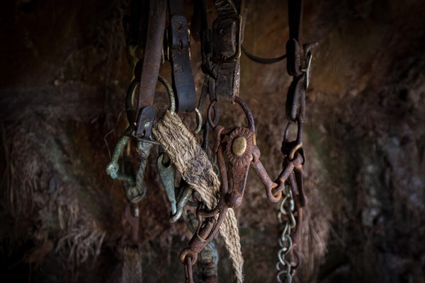 Rusty bridle in horse stable in original peat construction