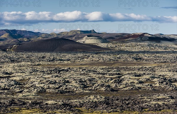 Moss-covered Laki crater or Lakagigar