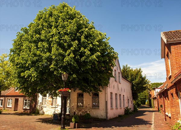 Market place in the historic centre of Dornum