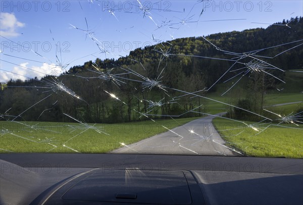 Shattered windscreen due to hailstones on a car