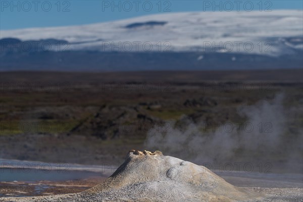 Steaming hot spring Oeskjuhoell or Oeskurholhver in front of glacier