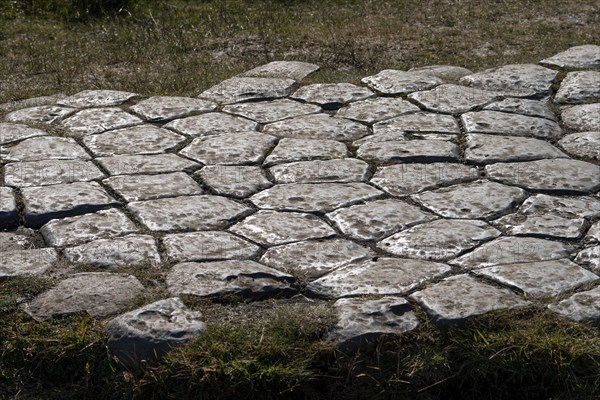 Glacier-carved basalt columns