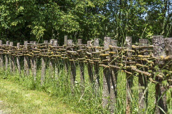 Wooden fence connected with thin branches in wickerwork