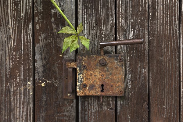 Rusty lock on a door