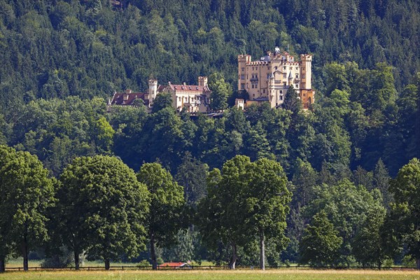 Hohenschwangau Castle