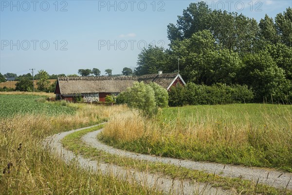 A country road to an old typical Scanian farm at Jordberga