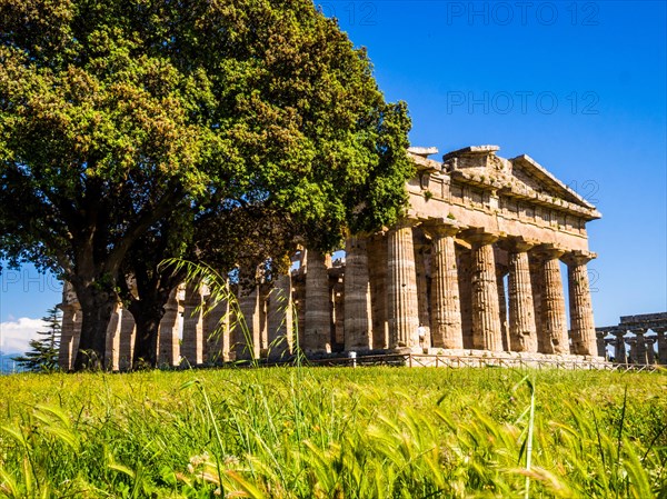 Temple of Poseidon