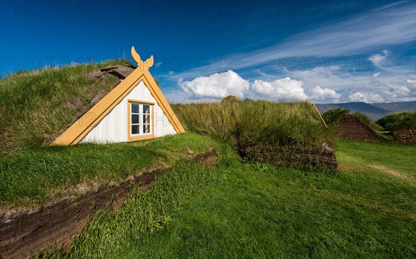 Grass sod houses