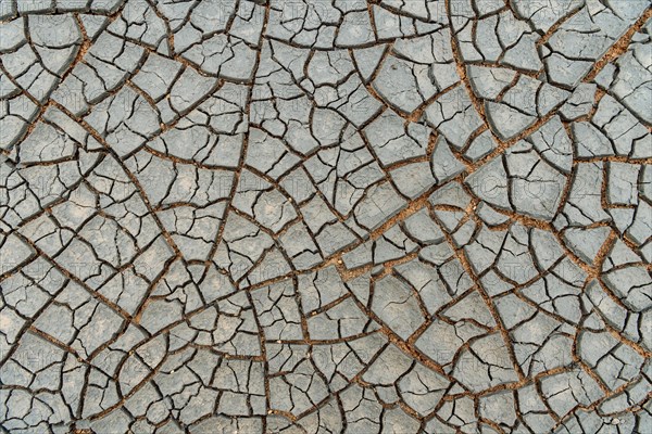 Cracks in the clay soil form mosaic-like structure