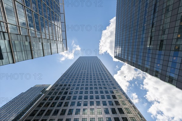 Skyscrapers in frog perspective