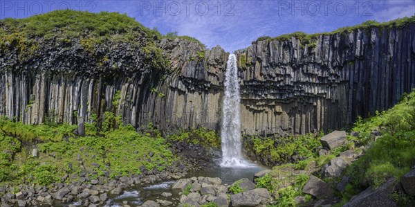 Svartifoss