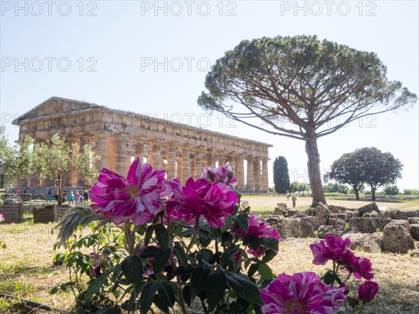 Temple of Athena