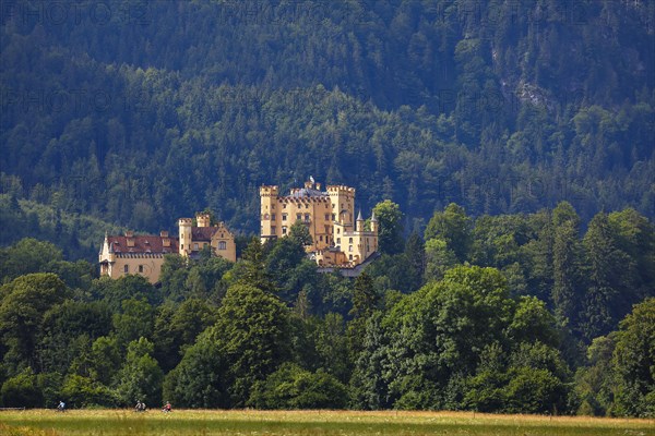 Hohenschwangau Castle