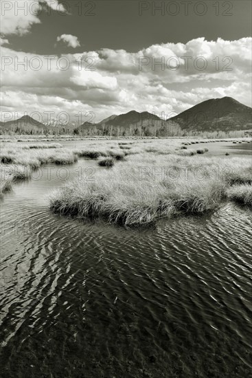 Water surface rippled by wind on pond in moor landscape