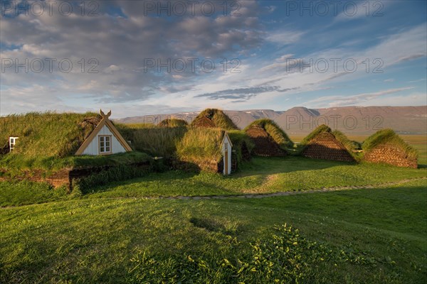 Grass sod houses