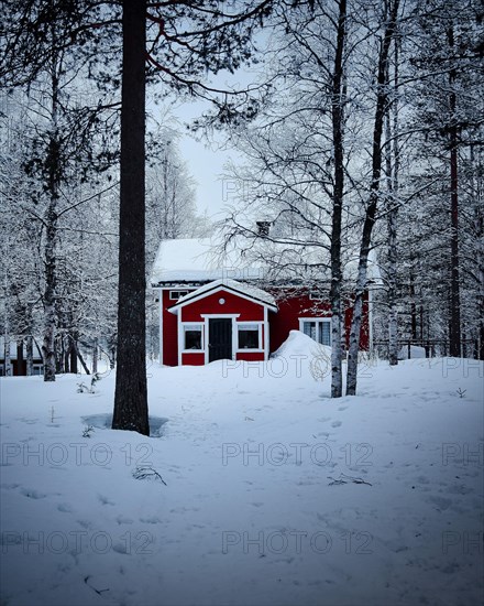 Red hut in the forest at blue hour