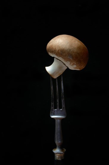 Brown cultivated mushroom on fork