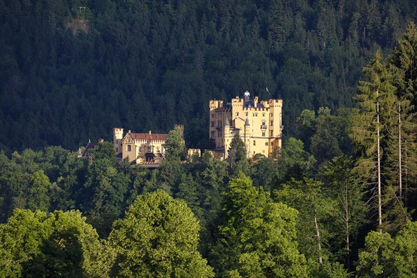 Hohenschwangau Castle