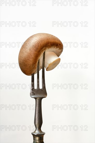 Brown cultivated mushroom on fork