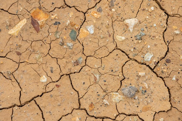 Cracks in the clay soil and coloured rhyolite rock