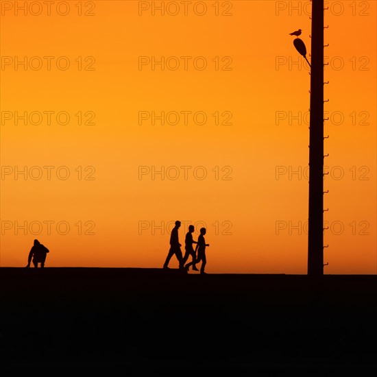 Men on a wall in the harbour