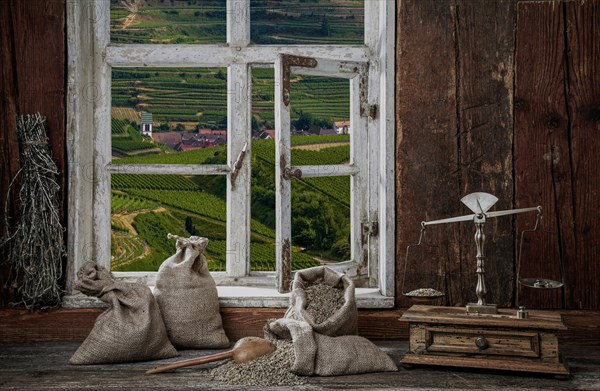 View from the farmer's kitchen with rye grains and scales into the landscape