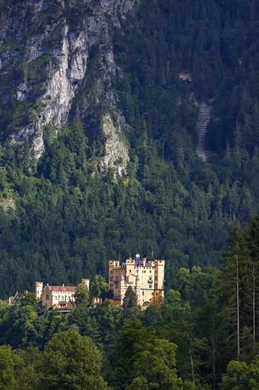 Hohenschwangau Castle