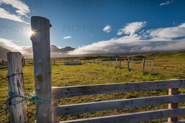 Sheep fence and