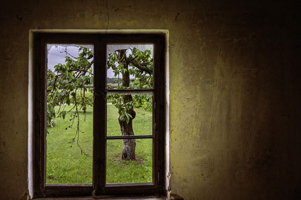 A window with broken glass on the wall