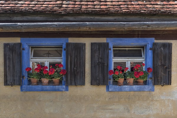 Window with geraniums of a crofter's house/vintner's house